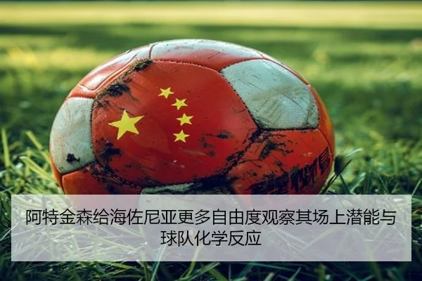 阿特金森给海佐尼亚更多自由度观察其场上潜能与球队化学反应